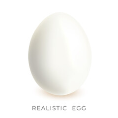 White single realistic 3 egg. Chicken realistic egg