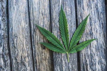 Cannabis on an old wooden background. Close-up.