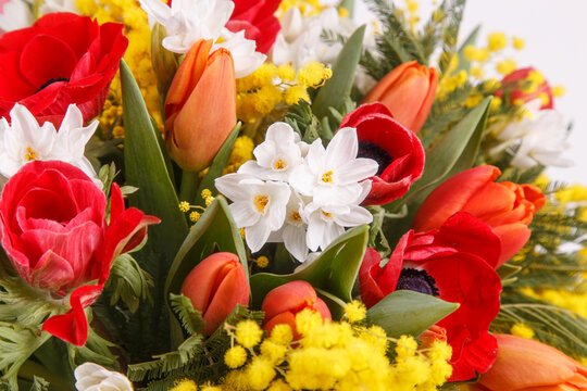 Floral arrangement with mimosa and animons on gray background 