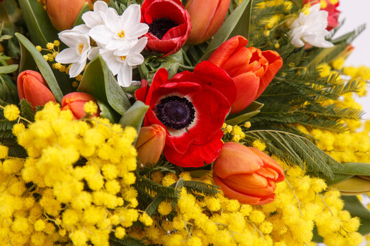 Floral arrangement with mimosa and animons on gray background 