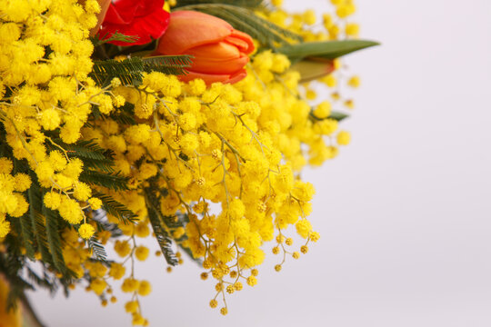 Floral arrangement with mimosa and animons on gray background 