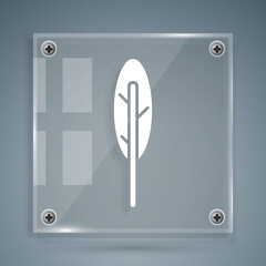White Feather pen icon isolated on grey background. Square glass panels. Vector.