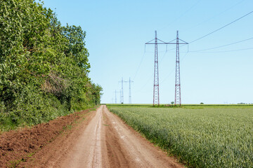 Fototapeta na wymiar Rural ground road between summer forest and agricultural field with green wheat. Electrical power line towers on farmlands