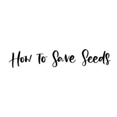 Fototapeta na wymiar VECTOR HAND LETTERING TYPOGRAPHY. HOW TO SAVE SEEDS