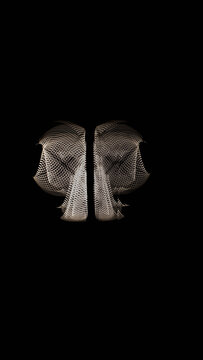light painting long exposure light trails and shapes