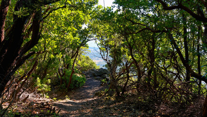 Hiking path in Costa Verde mountain. Corsica island