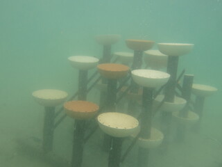 Artificial reef deployed at Redang island