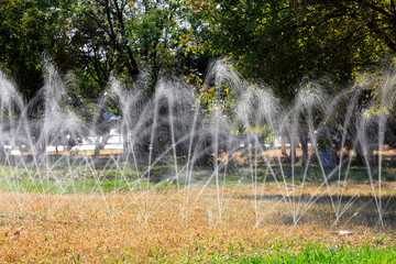 Micro sprinkler irrigation in the lawn