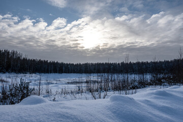 winter landscape with snow covered trees