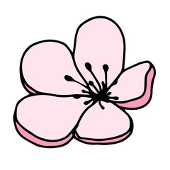 Vector silhouette of hand drawn pink magnolia flower isolated on white background. Vector illustration. Flowers spring doodle, sketch illustrations