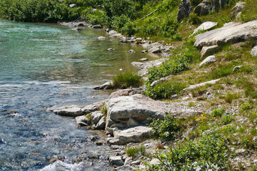 Fiume sul sentiero che porta ai laghi Cornisello nella Val Nambrone in Trentino, viaggi e paesaggi...