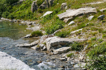 Fiume sul sentiero che porta ai laghi Cornisello nella Val Nambrone in Trentino, viaggi e paesaggi...