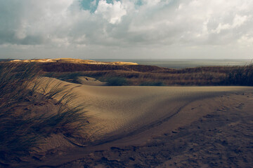 The wind blows the sand in the Neringa dunes in autumn. Windy weather on an autumn sunny day in September. Lithuania.