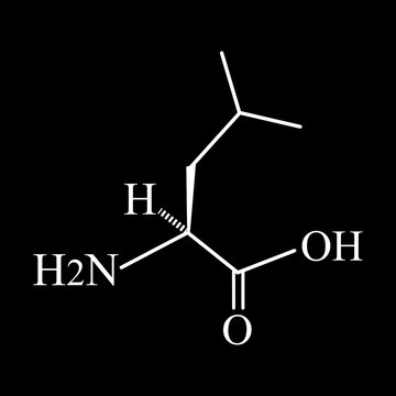Amino acid Leucine. Chemical molecular formula of amino acid leucine. Vector illustration on isolated background