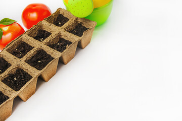 Tomato seeds sown in peat containers. There is a place for the text