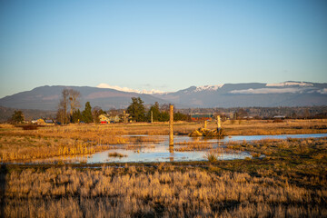 The East 90 - Skagit Wildlife Area Samish Unit