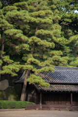 Ancient japanese building in garden of autumn trees