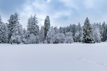 Preserved natural area Kladska near small west bohemian spa town Marianske Lazne (Marienbad) - Czech Republic