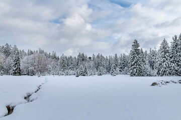 Preserved natural area Kladska near small west bohemian spa town Marianske Lazne (Marienbad) - Czech Republic