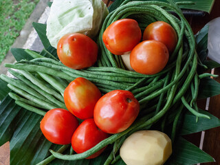 Vegetables, including Tomatoes, legumes, cabbage, and others laid out in a colorful pattern in Indonesia