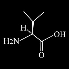 Valine amino acid. Chemical molecular formula of valine amino acid. Vector illustration on isolated background