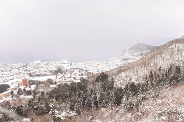 白い雪景色　山のすそ野に広がる港町函館