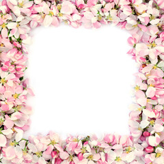 Obraz na płótnie Canvas Spring apple blossom border on white background with white copy space. Mothers day card, greeting card or birthday card,