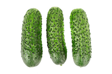 three green fresh cucumbers isolated on white background.
