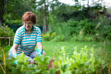 Mature woman gardening in her backyard