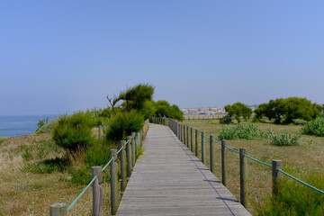 Fototapeta na wymiar wooden path along sea in portugal