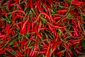 close up red spicy thai chilli. Red spicy organic chili for background. a pile of fresh chili in market