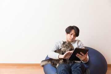 猫と生活、男性、タブレットを見る