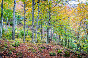 Autumn emotions in the Val d'Arzino. Magical Friuli.