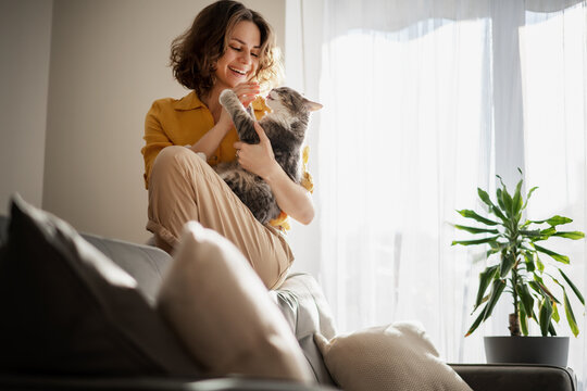 Beautiful cheerful young woman with a cute gray cat in her arms at home in the interior, friendship and love for pets