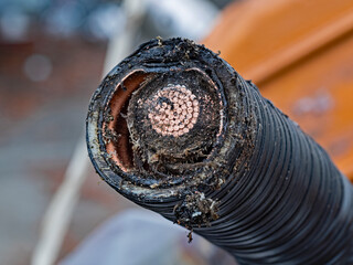 Severed power cable, durchtrenntes Starkstromkabel