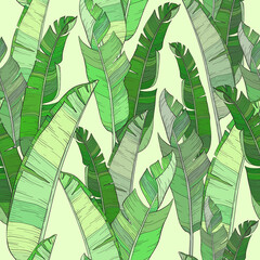 Seamless pattern with palm banana leaf and plants. Floral background jungle.