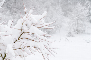 Emotions during a heavy snowfall. Village of Camporosso