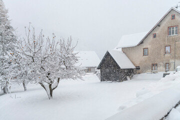 Emotions during a heavy snowfall. Village of Camporosso