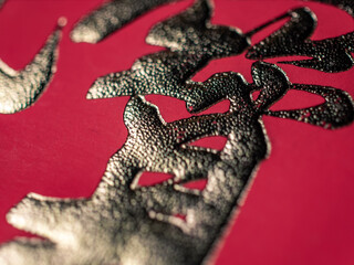 Close up of a Chinese character