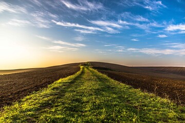 Obraz premium alba murgia