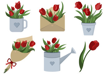 Tulips spring red flowers set in a cup, envelope, garden watering can for your design