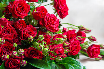 A bouquet of roses on a light background. Mother's Day, Women's Day, Valentine's Day or Birthday.
