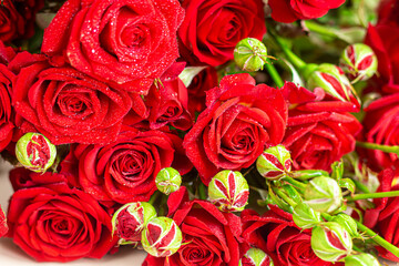 A bouquet of roses on a light background. Mother's Day, Women's Day, Valentine's Day or Birthday.