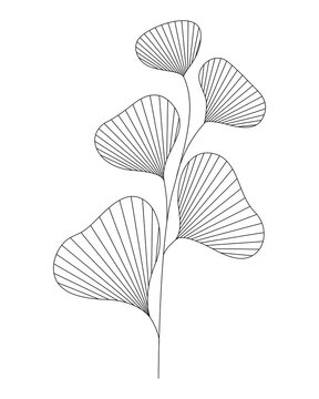 linear image of a plant branch, vector illustration of leaf contours