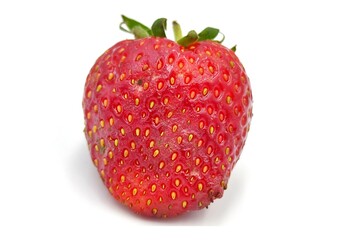 Strawberry rot