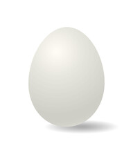 Egg isolated on white background. Vector illustration
