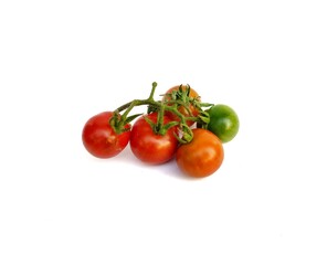 tomatoes on a vine