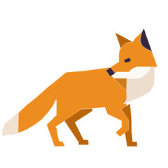 fox cartoon isolated on white