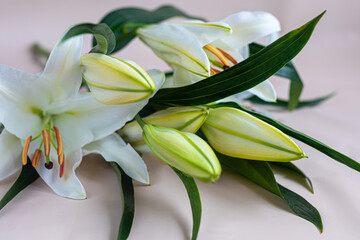 Fototapeta premium A bouquet of lilies on a light background. Mother's Day, Women's Day, Valentine's Day or Birthday.