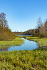 Fototapeta na wymiar Lake in forest. Picture of nature.
